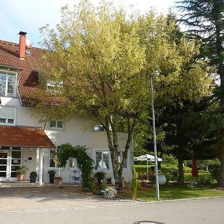 Hotel Schlossmatt Schwörstadt Екстериор снимка