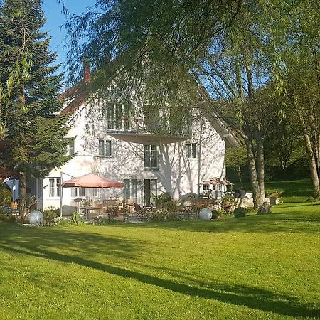 Hotel Schlossmatt Schwörstadt Екстериор снимка